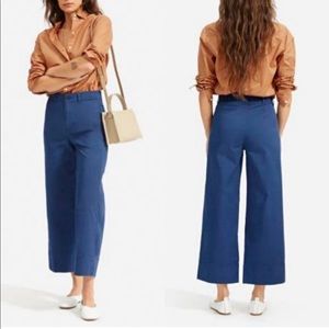 NWOT Everlane Wide Leg Chino Pants